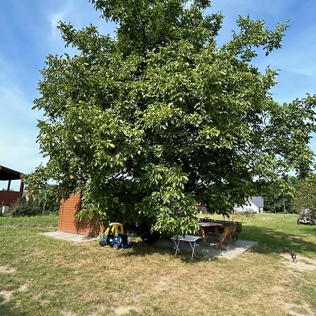 Agroturystyka U Krystyny Moryn エクステリア 写真