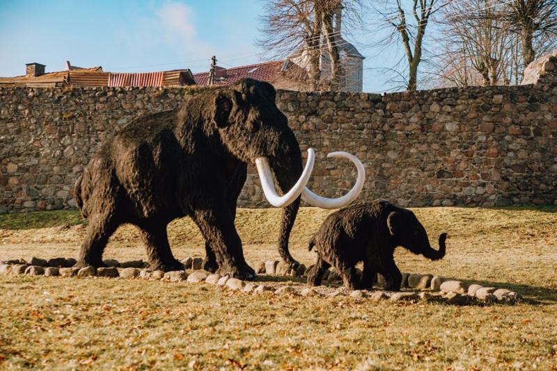 Agroturystyka U Krystyny Moryn エクステリア 写真