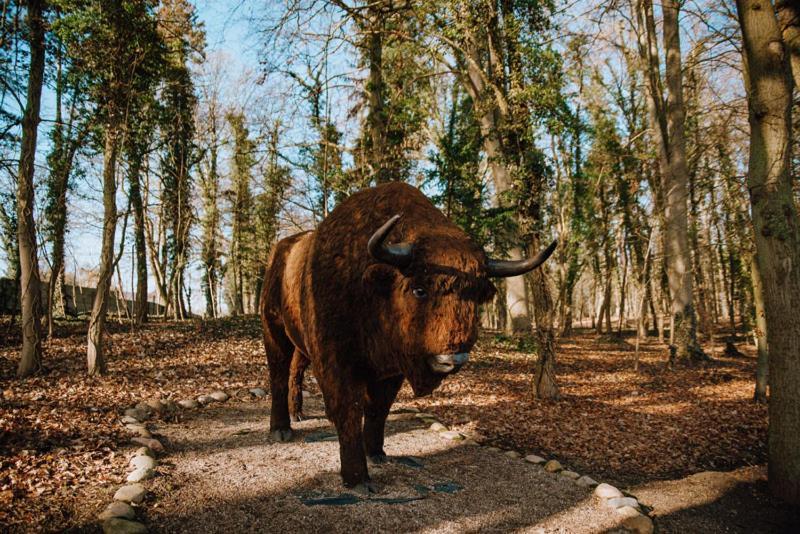 Agroturystyka U Krystyny Moryn エクステリア 写真