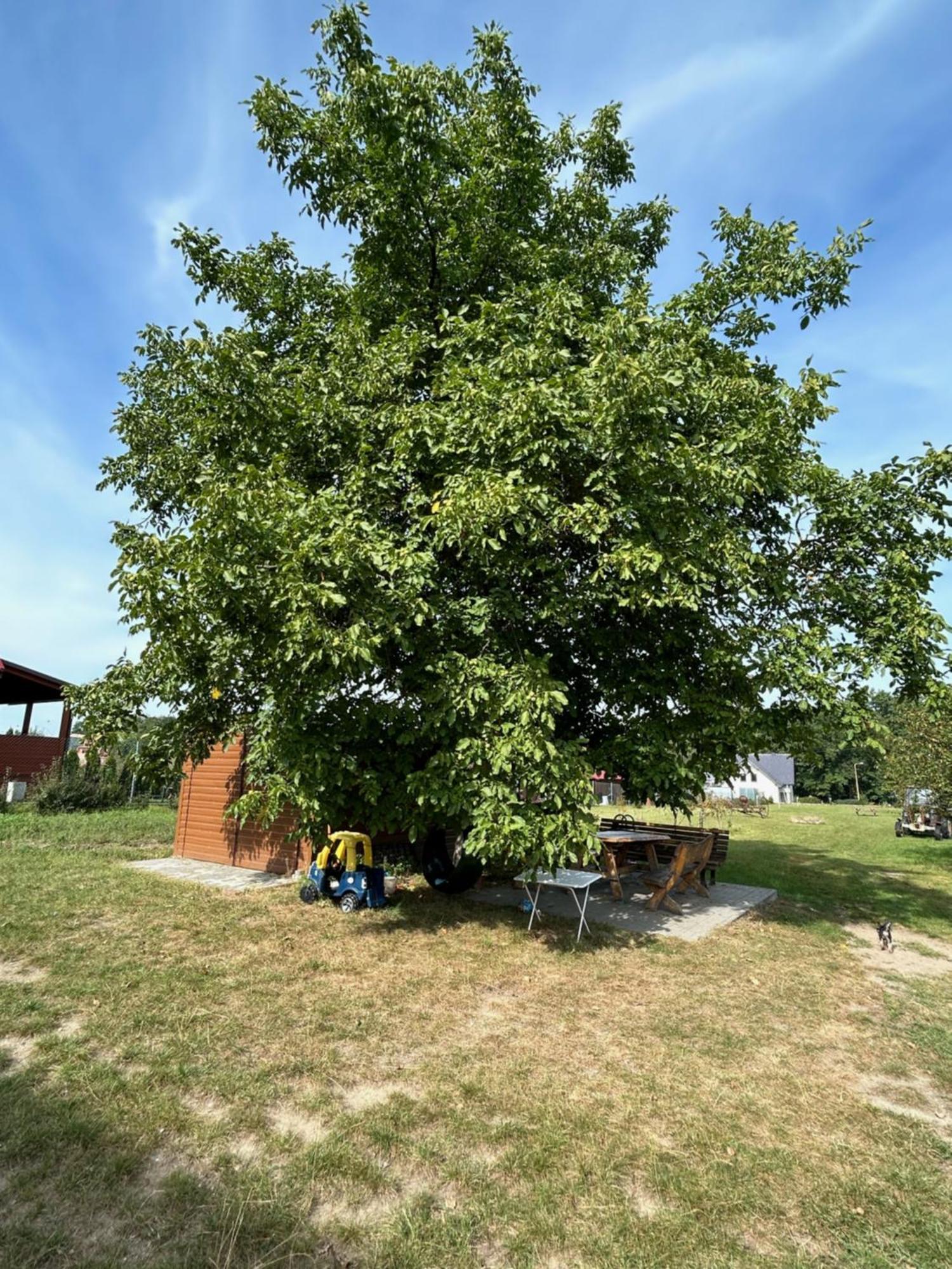 Agroturystyka U Krystyny Moryn エクステリア 写真